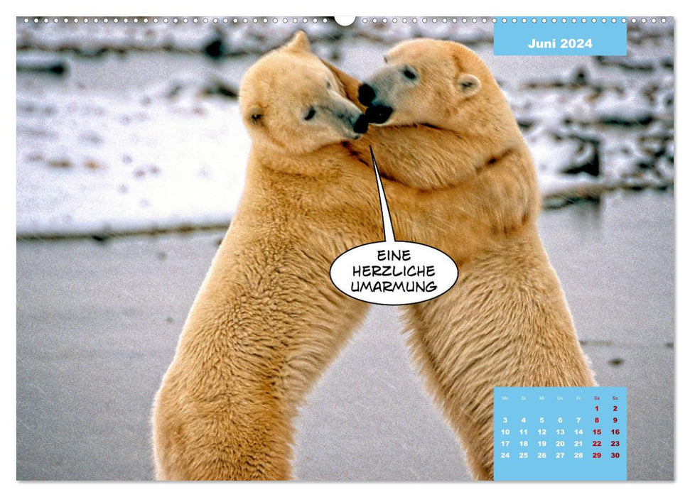 Lustige Eisbären (CALVENDO Premium Wandkalender 2024)