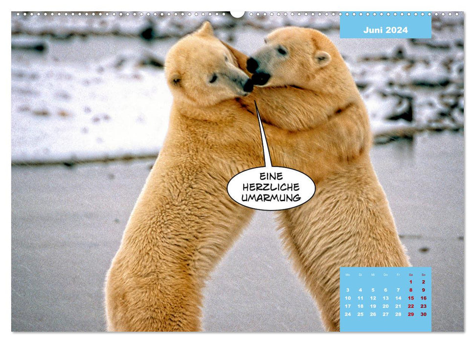 Funny polar bears (CALVENDO Premium Wall Calendar 2024) 