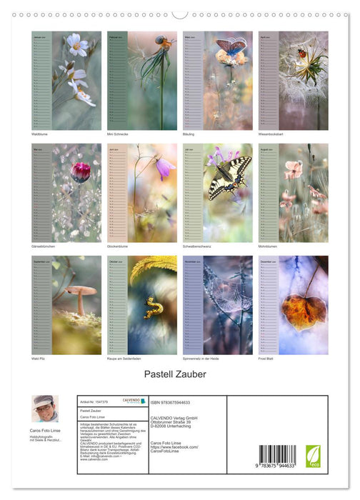 Pastell-Zauber (CALVENDO Premium Wandkalender 2024)
