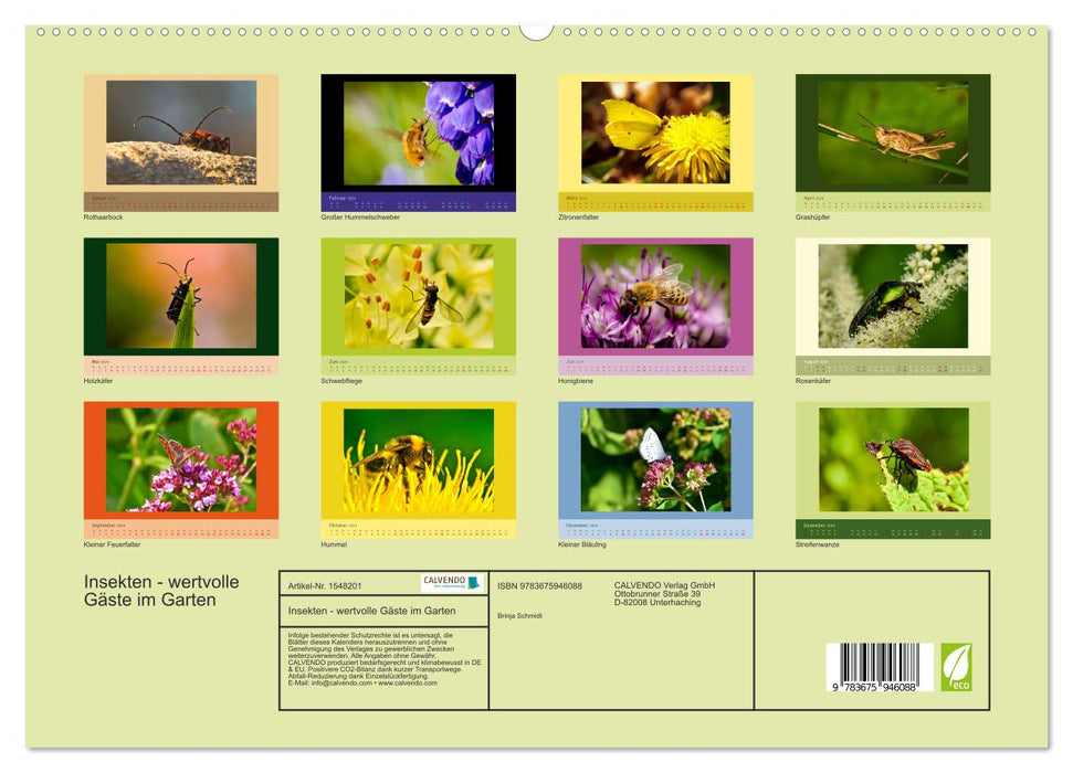 Insekten - wertvolle Gäste im Garten (CALVENDO Premium Wandkalender 2024)