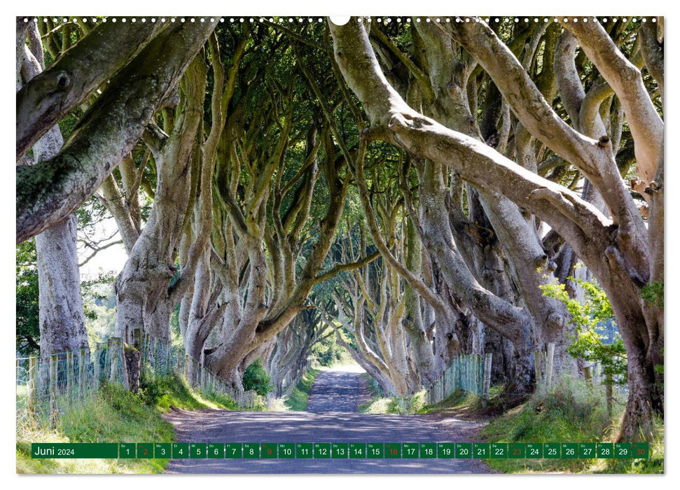 Irland. Insel zwischen den Meeren (CALVENDO Wandkalender 2024)