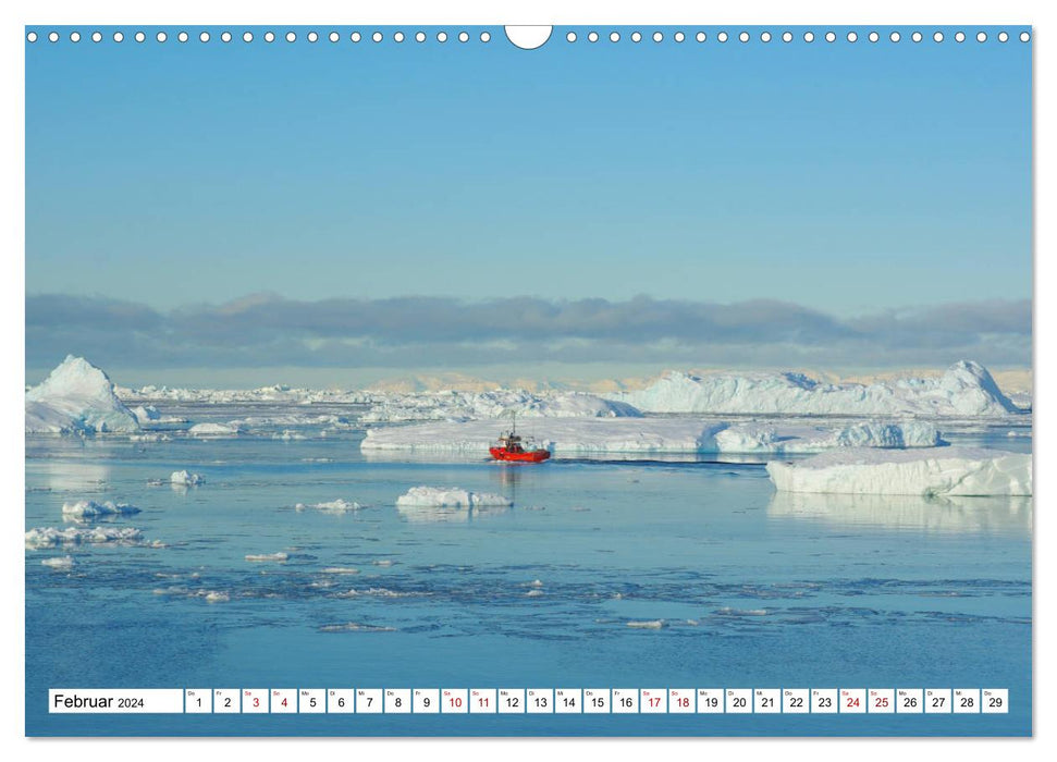 Ein Jahr in der Arktis (CALVENDO Wandkalender 2024)