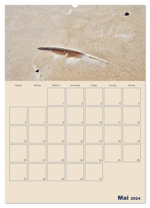 Gestrandete Impressionen (CALVENDO Wandkalender 2024)