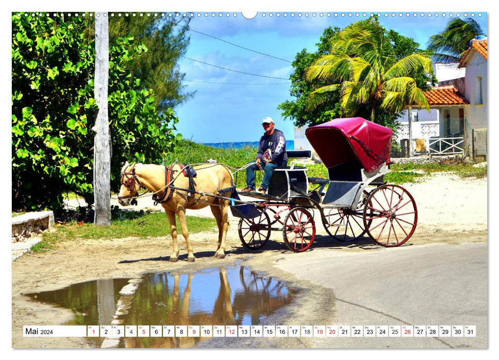 Guanabo - Kutschen, Oldtimer und viel Meer (CALVENDO Premium Wandkalender 2024)