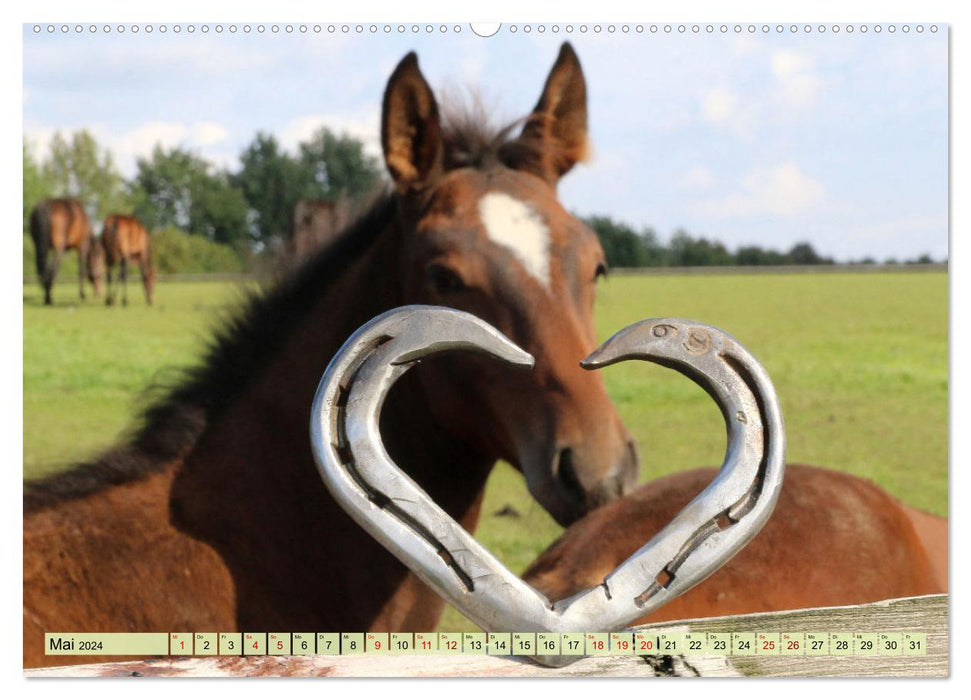 Pferde - eine Herzenssache (CALVENDO Premium Wandkalender 2024)