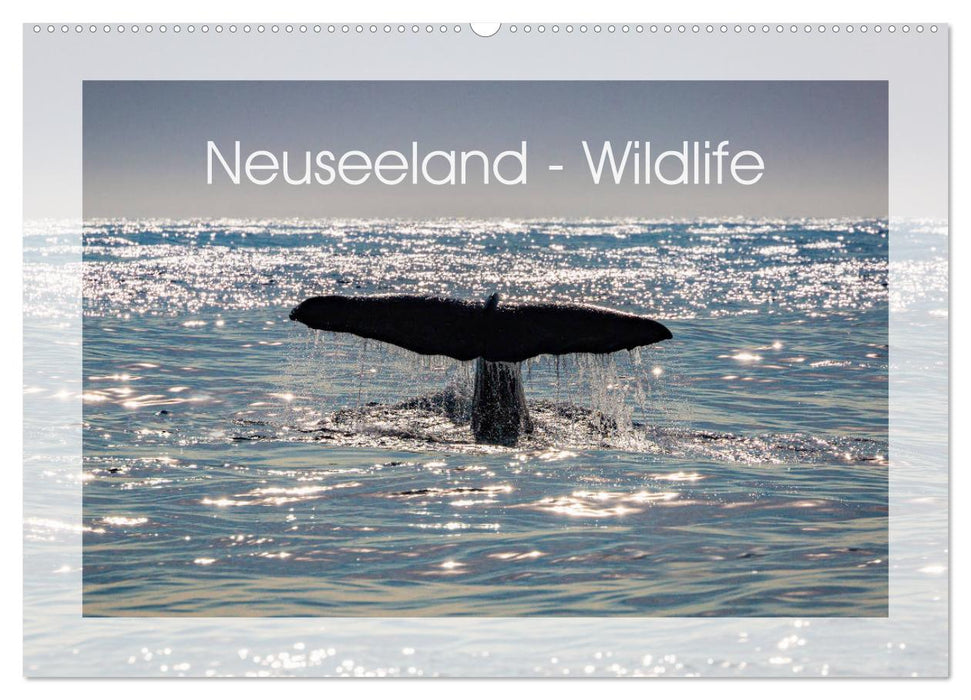 Neuseeland - Wildlife (CALVENDO Wandkalender 2024)