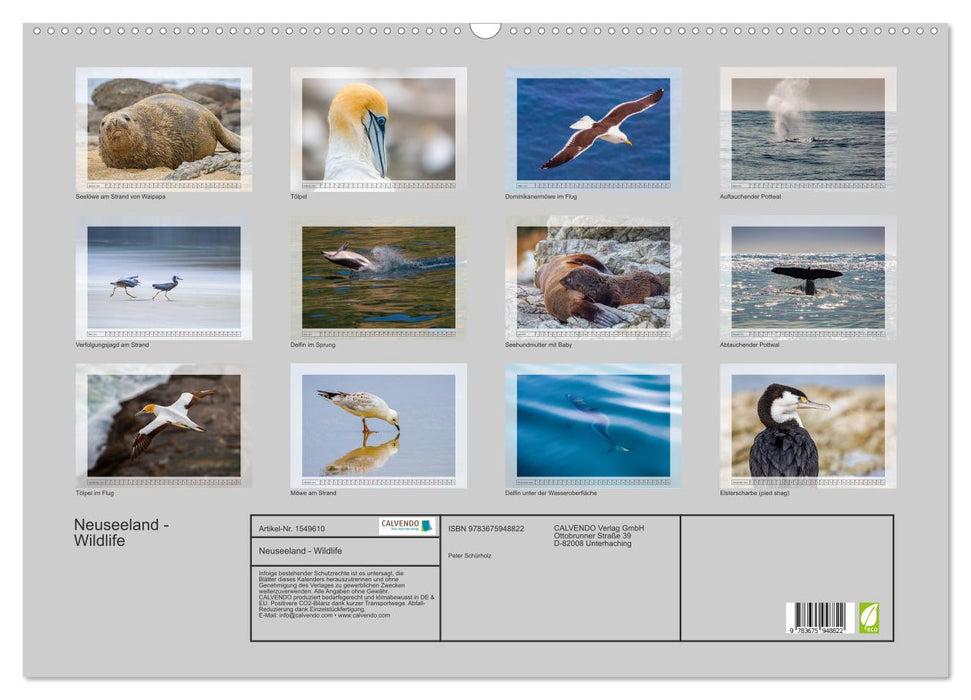 Neuseeland - Wildlife (CALVENDO Wandkalender 2024)