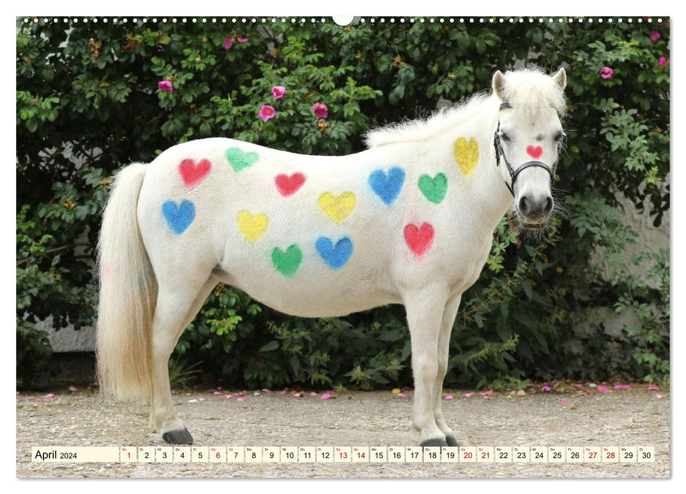 Pferde - eine Herzenssache (CALVENDO Wandkalender 2024)