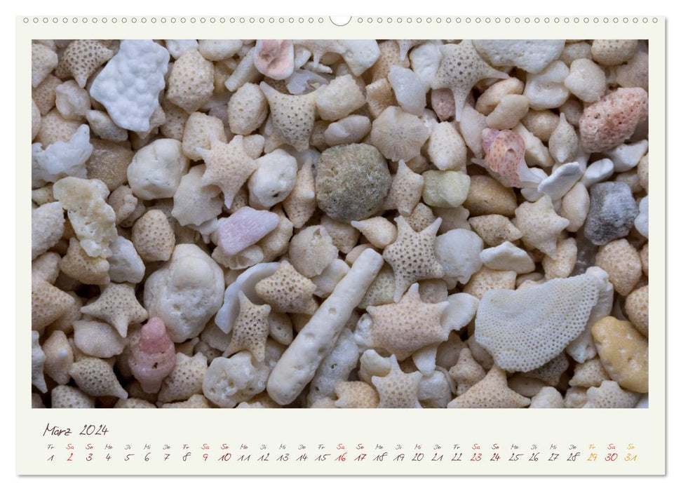 Adventure Microphotographie Sable (Calvendo Premium Wall Calendar 2024) 