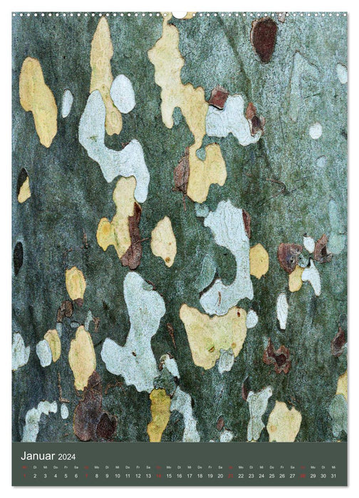 Peau d'arbre (Calendrier mural CALVENDO Premium 2024) 