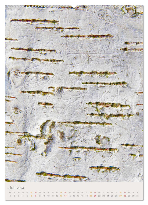 Peau d'arbre (Calendrier mural CALVENDO Premium 2024) 