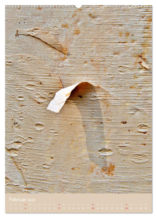 Peau d'arbre (Calendrier mural CALVENDO 2024) 