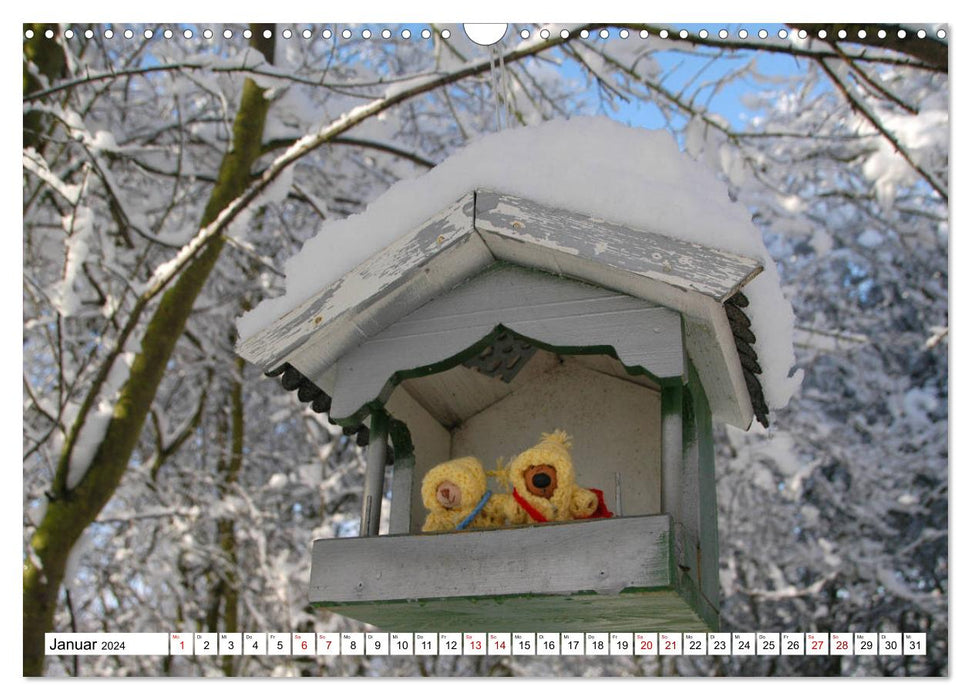 Die kleine Welt der Teddybärchen (CALVENDO Wandkalender 2024)