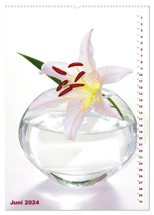 Lilien-Eleganz (CALVENDO Premium Wandkalender 2024)