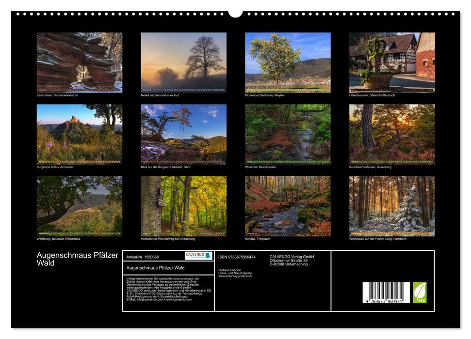 Augenschmaus Pfälzer Wald (CALVENDO Premium Wandkalender 2024)