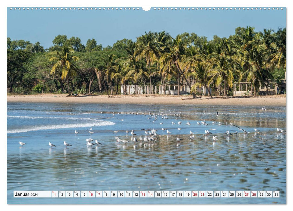 Plages de rêve en Gambie (Calendrier mural CALVENDO Premium 2024) 