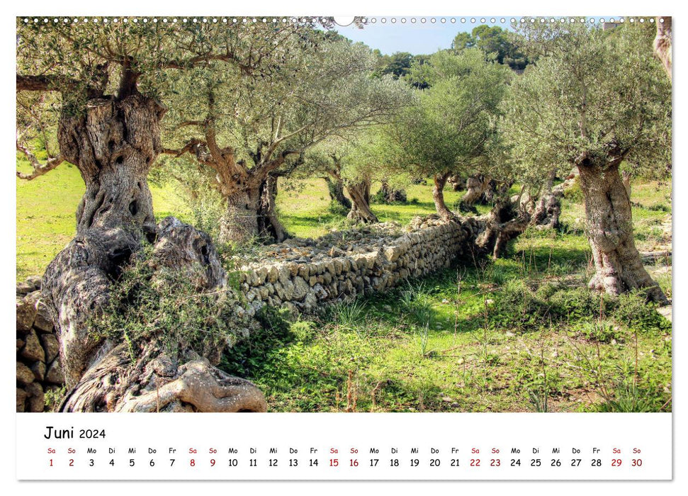 Majorque – Paradis en Méditerranée (Calvendo Premium Wall Calendar 2024) 