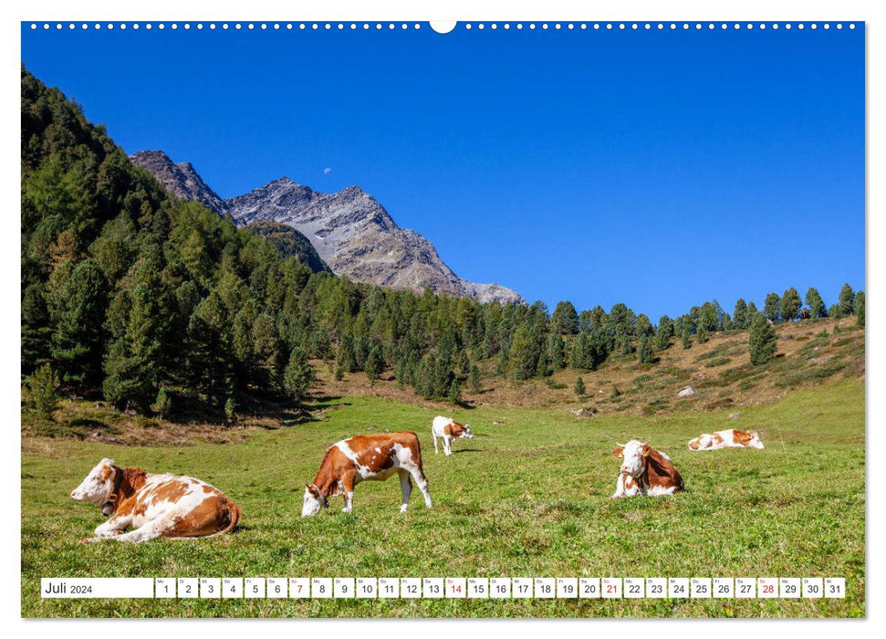Jagdhausalm in Osttirol (CALVENDO Premium Wandkalender 2024)