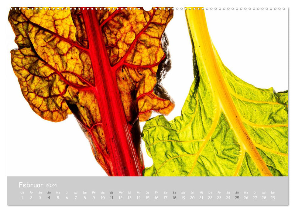 minimalist FOOD art Obst und Gemüse (CALVENDO Wandkalender 2024)