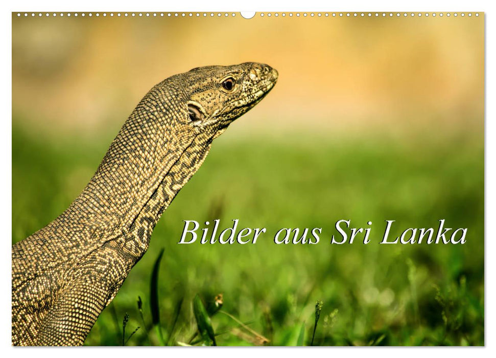 Bilder aus Sri Lanka (CALVENDO Wandkalender 2024)