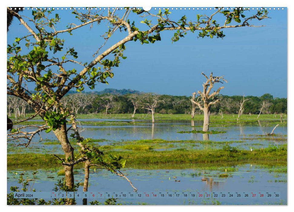 Bilder aus Sri Lanka (CALVENDO Wandkalender 2024)