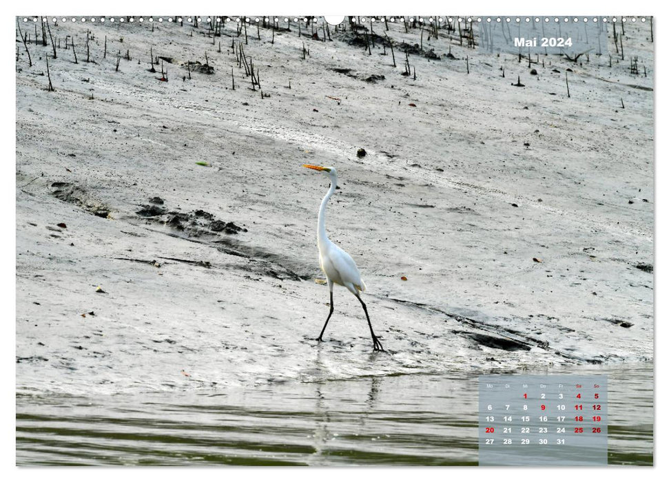 Indien Sunderbans (CALVENDO Premium Wandkalender 2024)