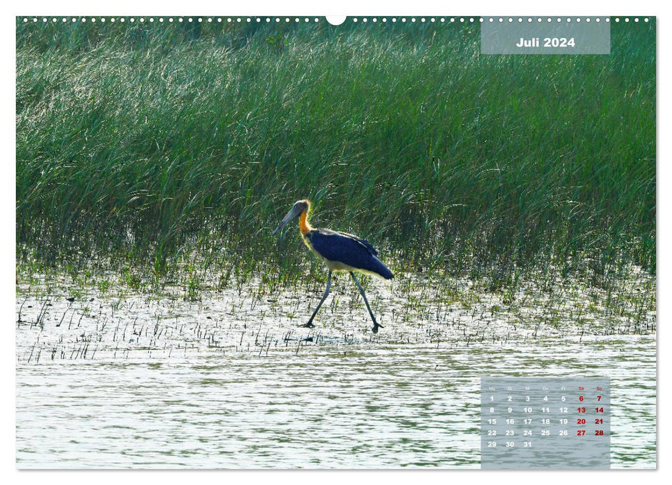 Indien Sunderbans (CALVENDO Premium Wandkalender 2024)