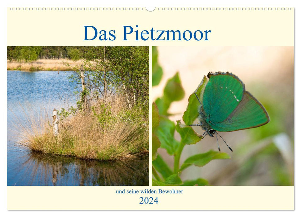 Das Pietzmoor und seine wilden Bewohner (CALVENDO Wandkalender 2024)