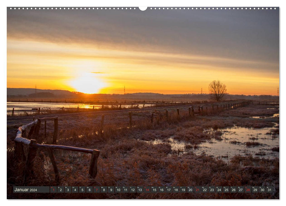 Life in the nature park around Lake Dümmer (CALVENDO wall calendar 2024) 