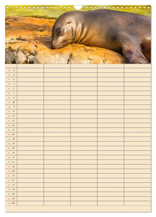Besuch im Zoo - Familienplaner (CALVENDO Wandkalender 2024)