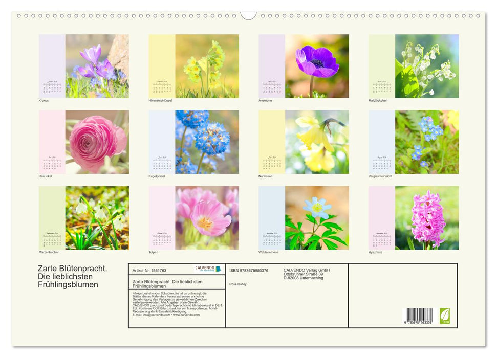 Zarte Blütenpracht. Die lieblichsten Frühlingsblumen (CALVENDO Wandkalender 2024)