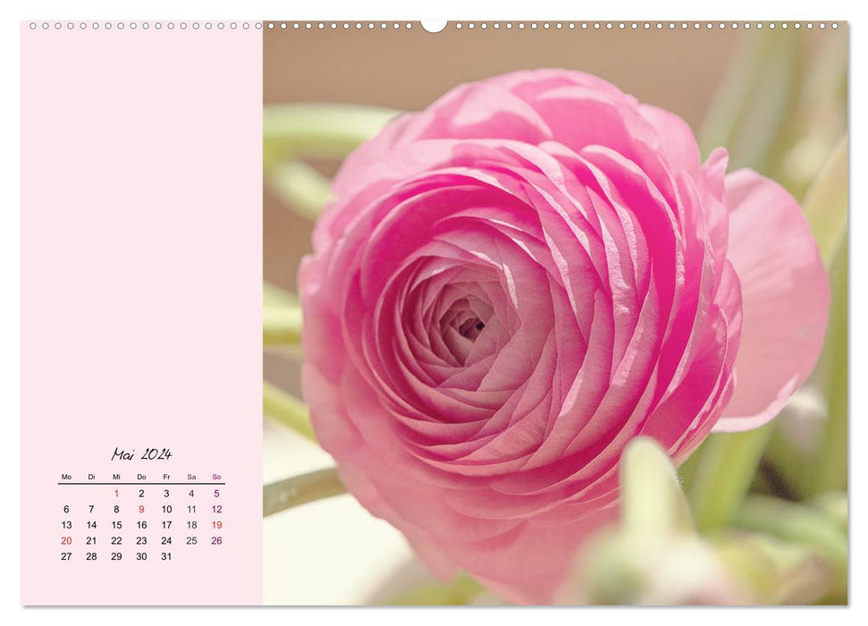 Delicate flowers. The loveliest spring flowers (CALVENDO wall calendar 2024)