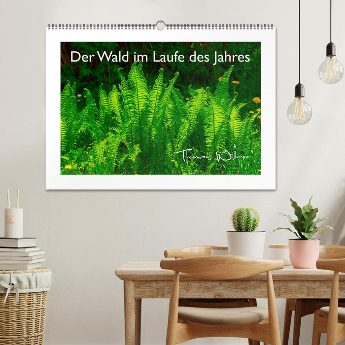 The forest throughout the year (CALVENDO wall calendar 2024) 