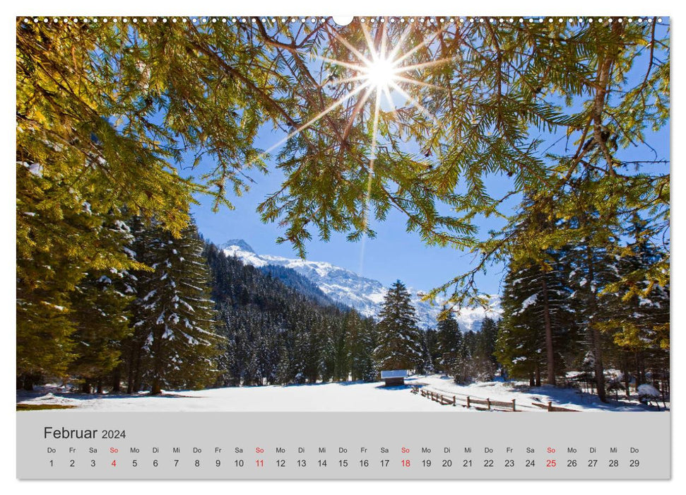 Come on, I'll show you the forest (CALVENDO wall calendar 2024) 