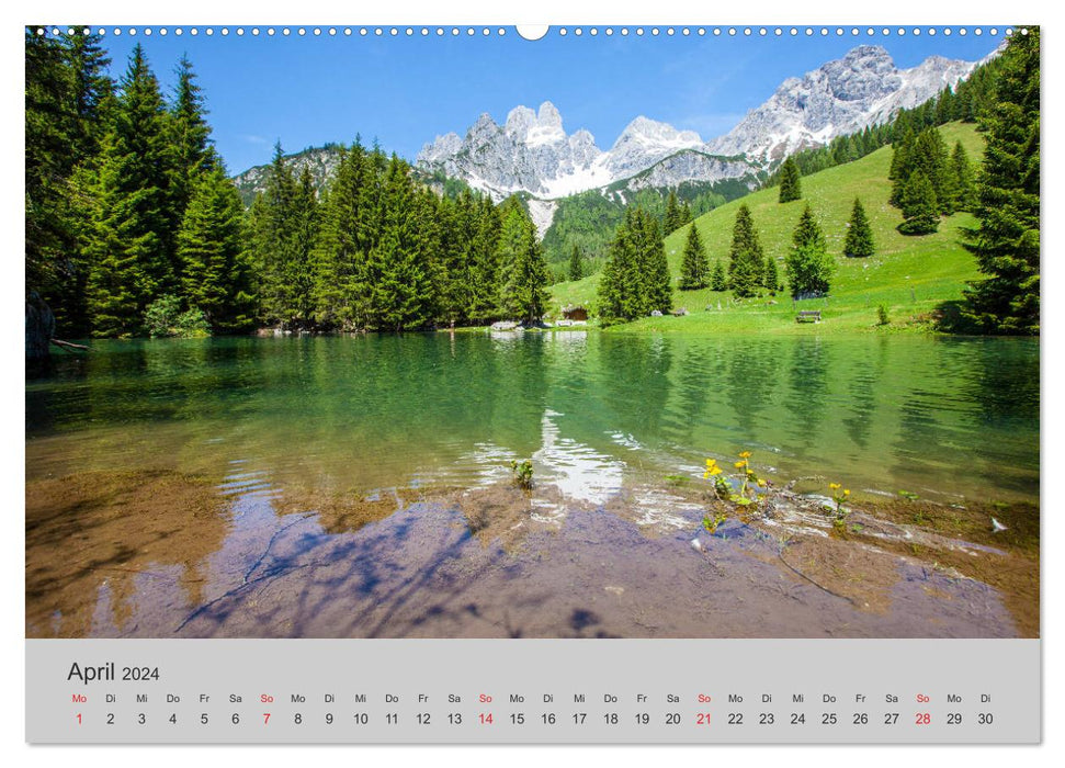 Come on, I'll show you the forest (CALVENDO wall calendar 2024) 