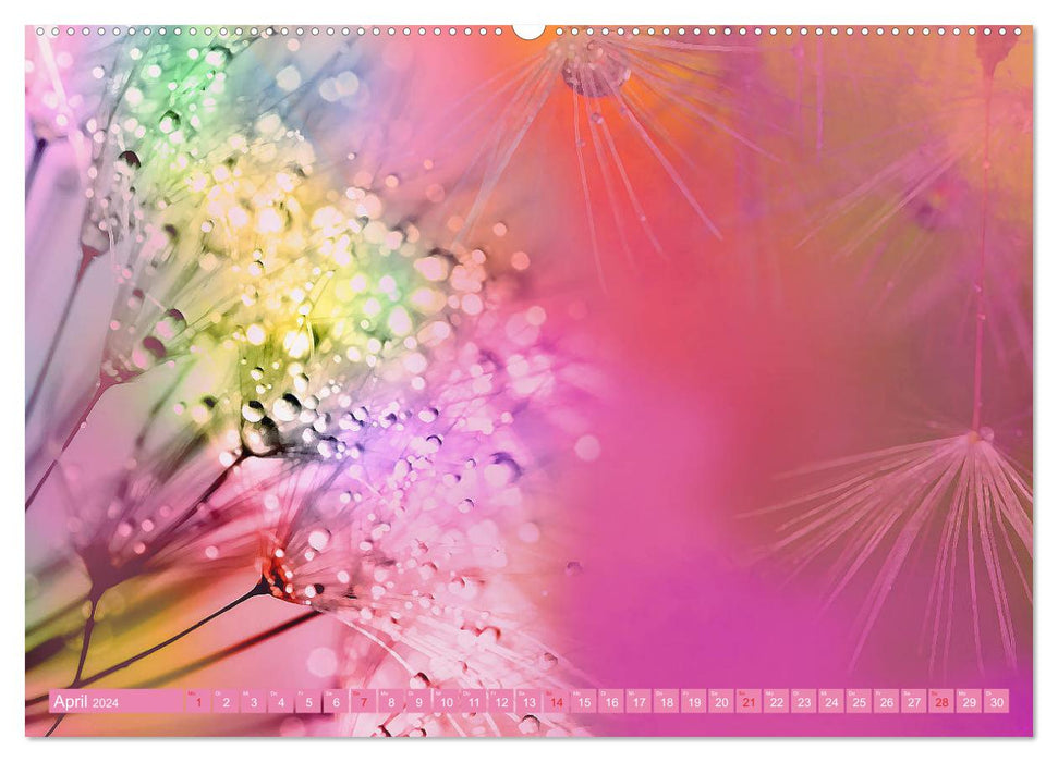 Meditation Flower Magic (CALVENDO Premium Wall Calendar 2024) 
