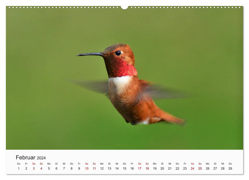 Birds - The Kings of the Skies (CALVENDO Premium Wall Calendar 2024) 