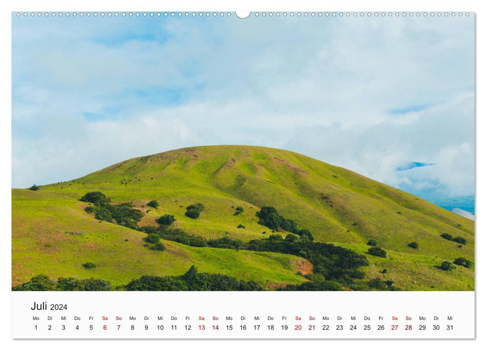 Hawaii - summer, sun, vacation (CALVENDO Premium Wall Calendar 2024) 