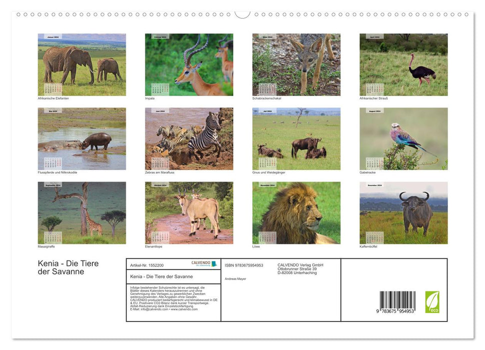 Kenya - The animals of the savannah (CALVENDO Premium Wall Calendar 2024) 