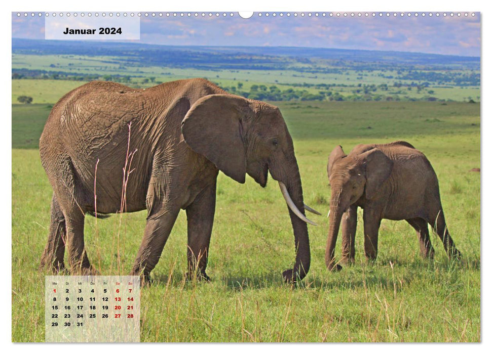 Kenya - The animals of the savannah (CALVENDO Premium Wall Calendar 2024) 