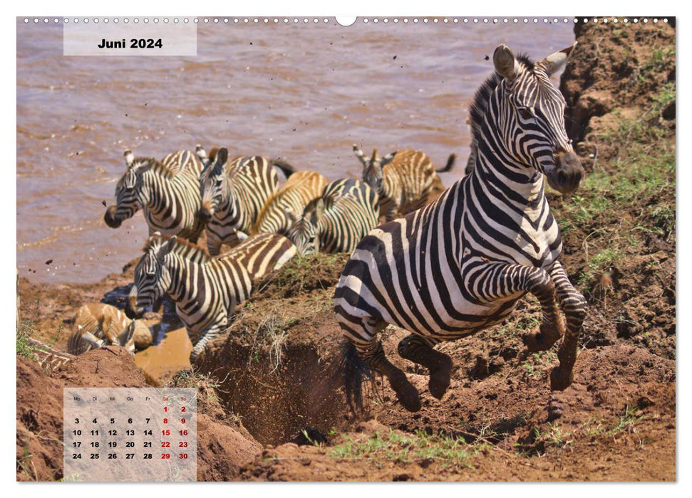 Kenia - Die Tiere der Savanne (CALVENDO Premium Wandkalender 2024)