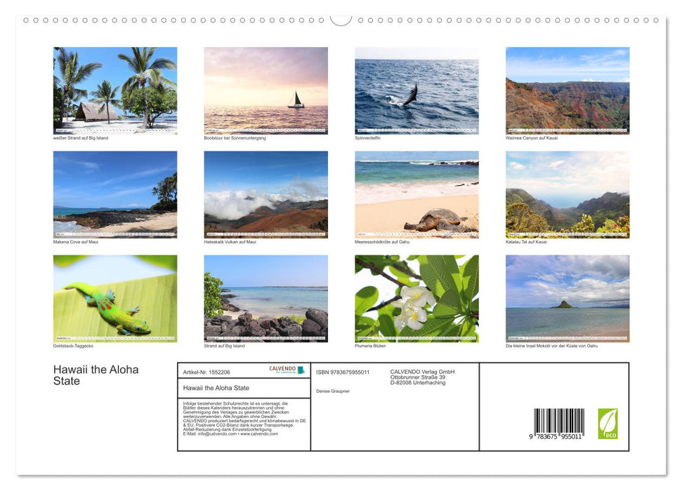 Hawaii the Aloha State (CALVENDO Premium Wall Calendar 2024) 