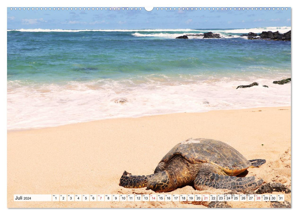 Hawaii the Aloha State (CALVENDO Premium Wall Calendar 2024) 