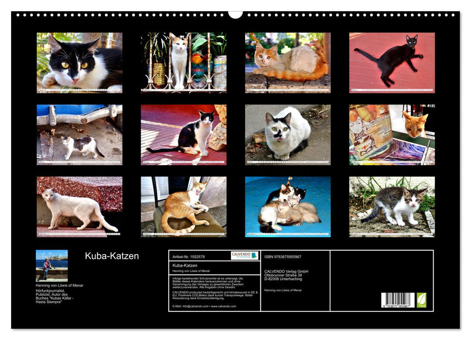 Kuba-Katzen - Auf Samtpfoten unterwegs in Havanna (CALVENDO Wandkalender 2024)