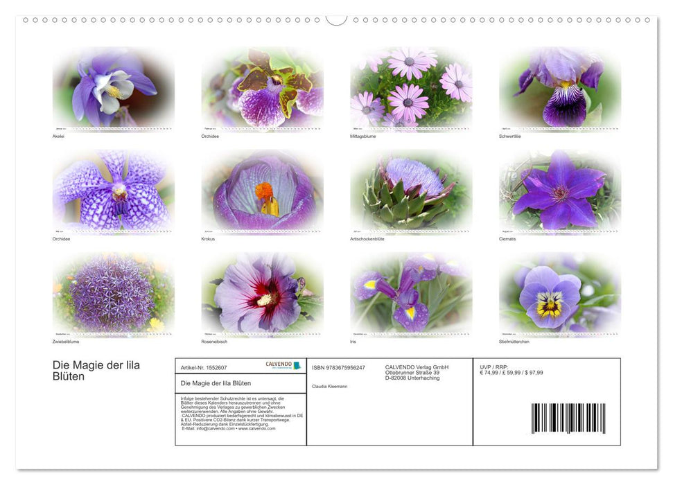 The magic of purple flowers (CALVENDO Premium Wall Calendar 2024) 