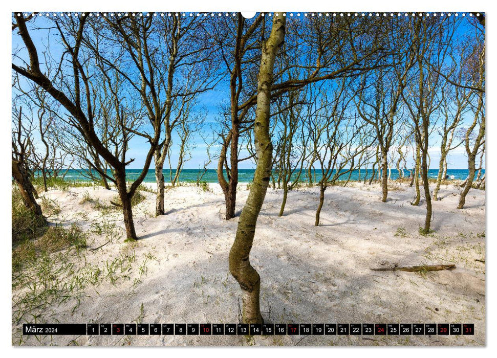 Fischland Darß - Land between the Bodden and the Baltic Sea (CALVENDO Premium Wall Calendar 2024) 