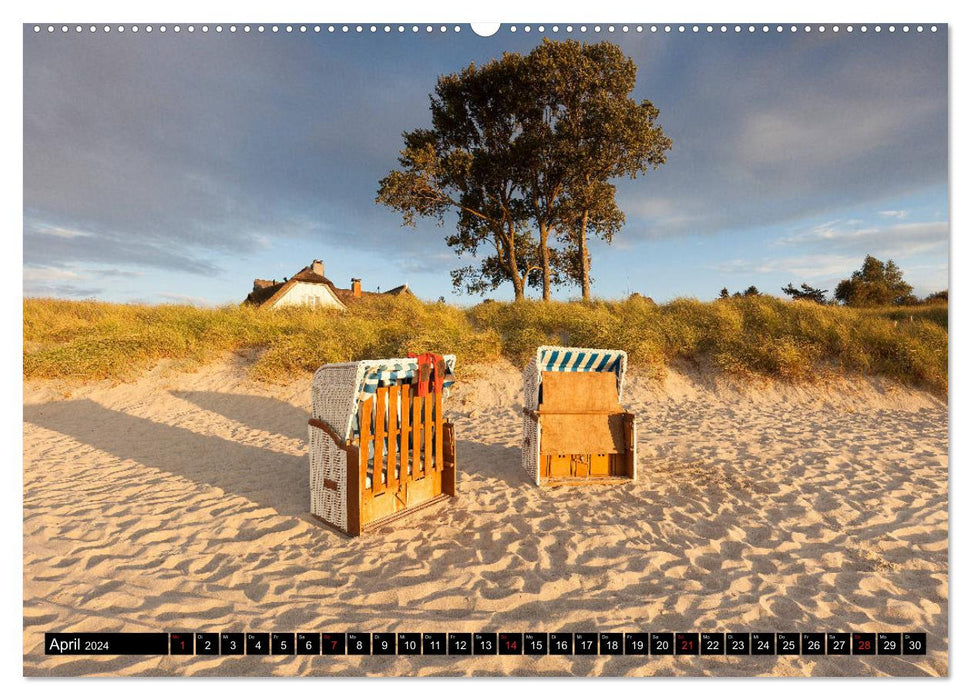 Fischland Darß - Land between the Bodden and the Baltic Sea (CALVENDO Premium Wall Calendar 2024) 