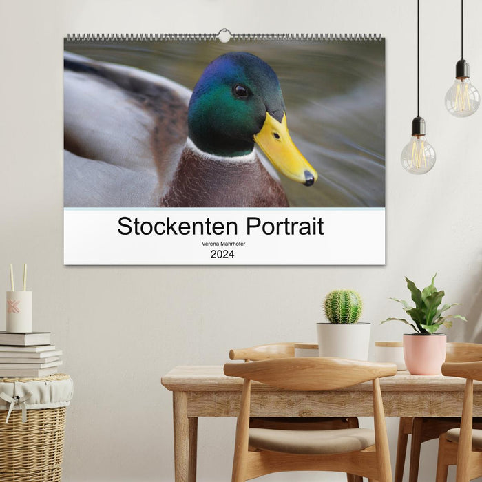 Mallard Ducks Portrait (CALVENDO Wall Calendar 2024) 