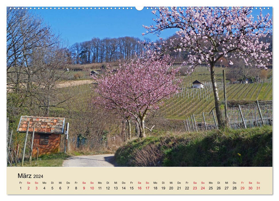 Castles, wine and half-timbered buildings along the mountain road (CALVENDO Premium Wall Calendar 2024) 