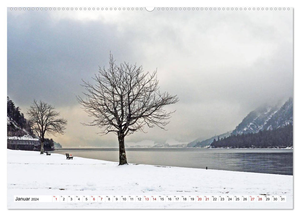 Trees... are poems that the earth writes in the sky. Khali Gibran (CALVENDO Premium Wall Calendar 2024) 